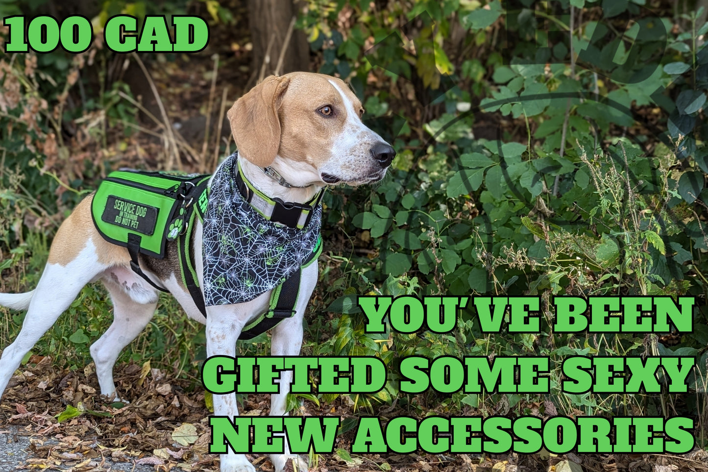 Sexy Eddie's Gift Cards